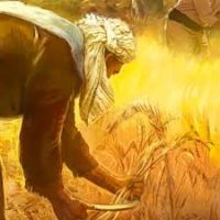 Fa - The Parable of the Weeds Explained Matthew 13: 36-43 · The ...