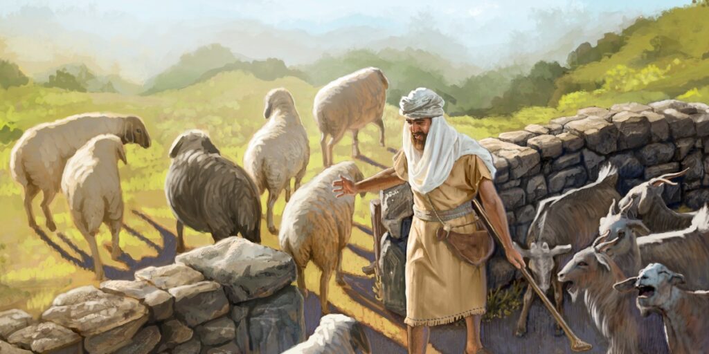 andrew-fountain-love-our-new-identity-parable-of-the-sheep-and