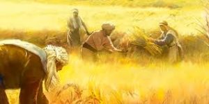 https://jaymack.net/wp-content/uploads/2018/11/Life-of-Christ-Ev-The-Parable-of-the-Wheat-and-the-Weeds2-300x150.jpeg