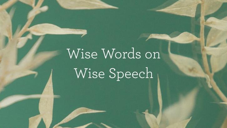 Wise Words on Wise Speech