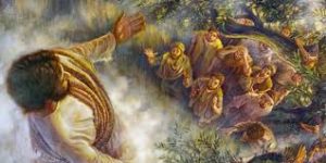 https://jaymack.net/wp-content/uploads/2018/12/Life-of-Christ-Mr-The-Ascension-of-Jesus-300x150.jpeg